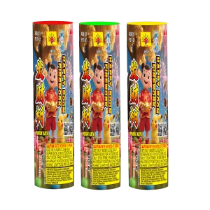 HB Pokok Kaya (发财树)