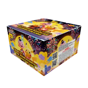 HB Shoot Cake 49MY (4寸49发盆花(模压）)